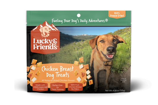 Foundation Outdoors Chicken Breast Dog Treat pouch showing the treat package with a clear label and branding.