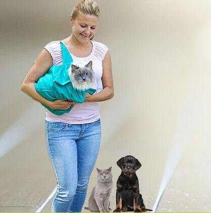 Foldable pet shoulder bag in compact design for carrying small pets