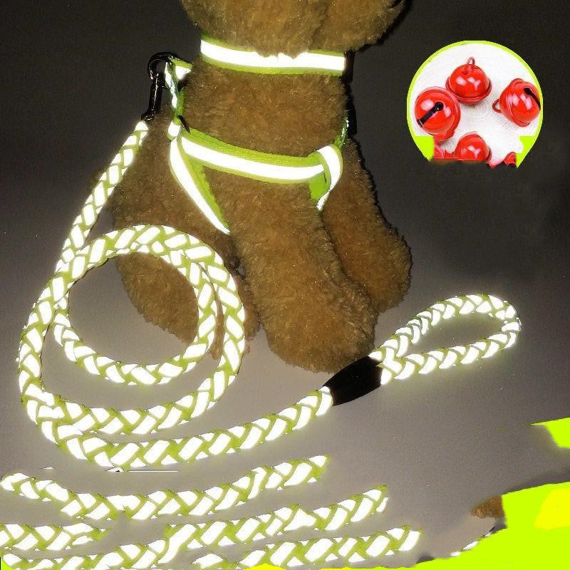 Pet dog leash by My Store, durable lead for walking dogs