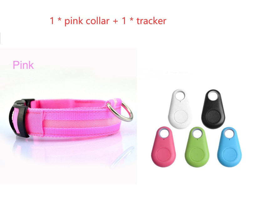Safety Dog LED Collar by My Store, glowing LED collar for nighttime visibility