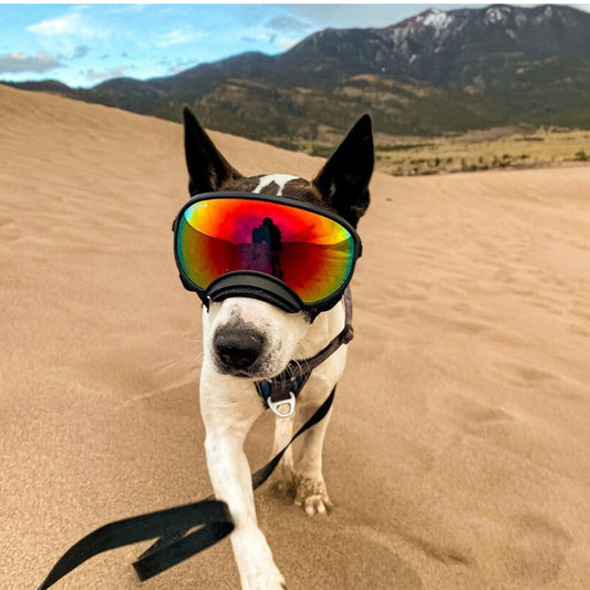 Fashion personality dog skiing goggles with protective lenses and adjustable strap