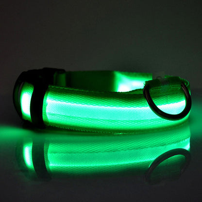 Safety Dog LED Collar by My Store, illuminated pet collar visible on a dog neck
