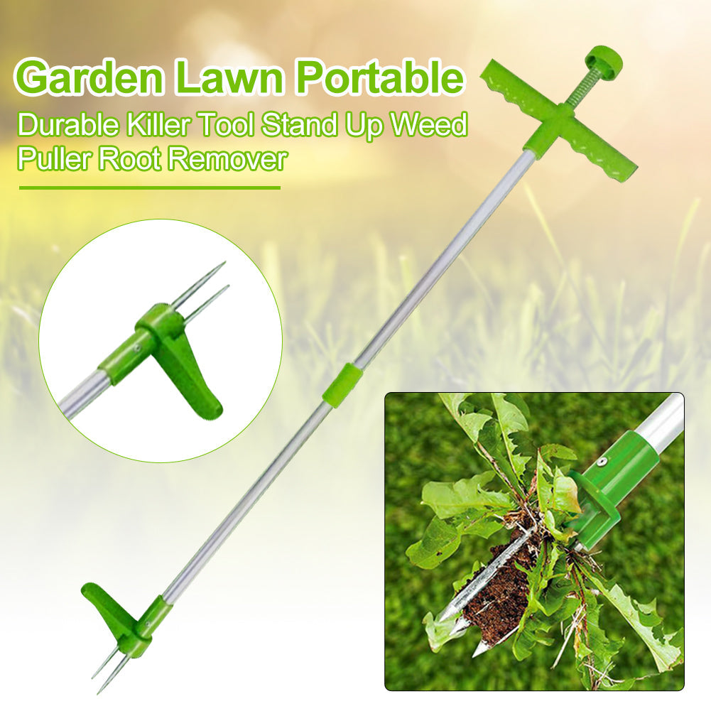 Simple Artifact road gap weeding hook for removing weeds from pavement cracks