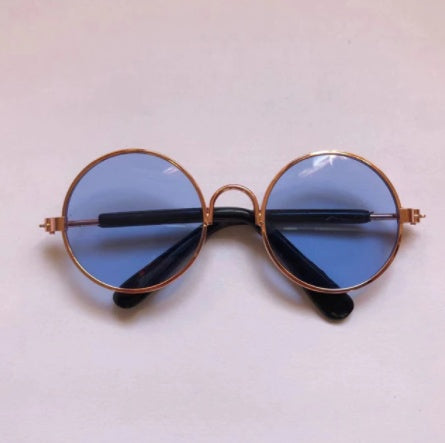 Cat wearing pet sunglasses, colorful glasses designed for cats