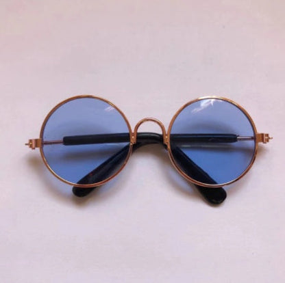 Cat wearing pet sunglasses, colorful glasses designed for cats