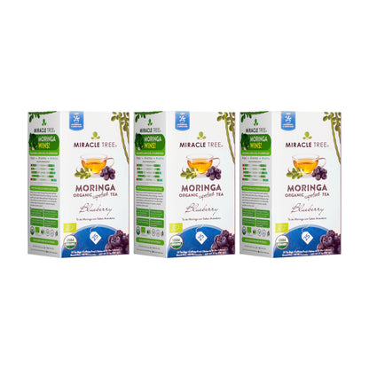 Organic Moringa and blueberry herbal tea by Miracle Tree, caffeine-free, with fresh blueberry and moringa leaves in a teacup.