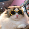 Multi-color pet sunglasses for dogs and cats, cool accessory with tinted lenses and adjustable frame
