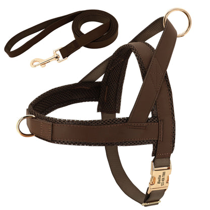 Personalized dog harness and leash set, adjustable pet walking gear with custom name detail