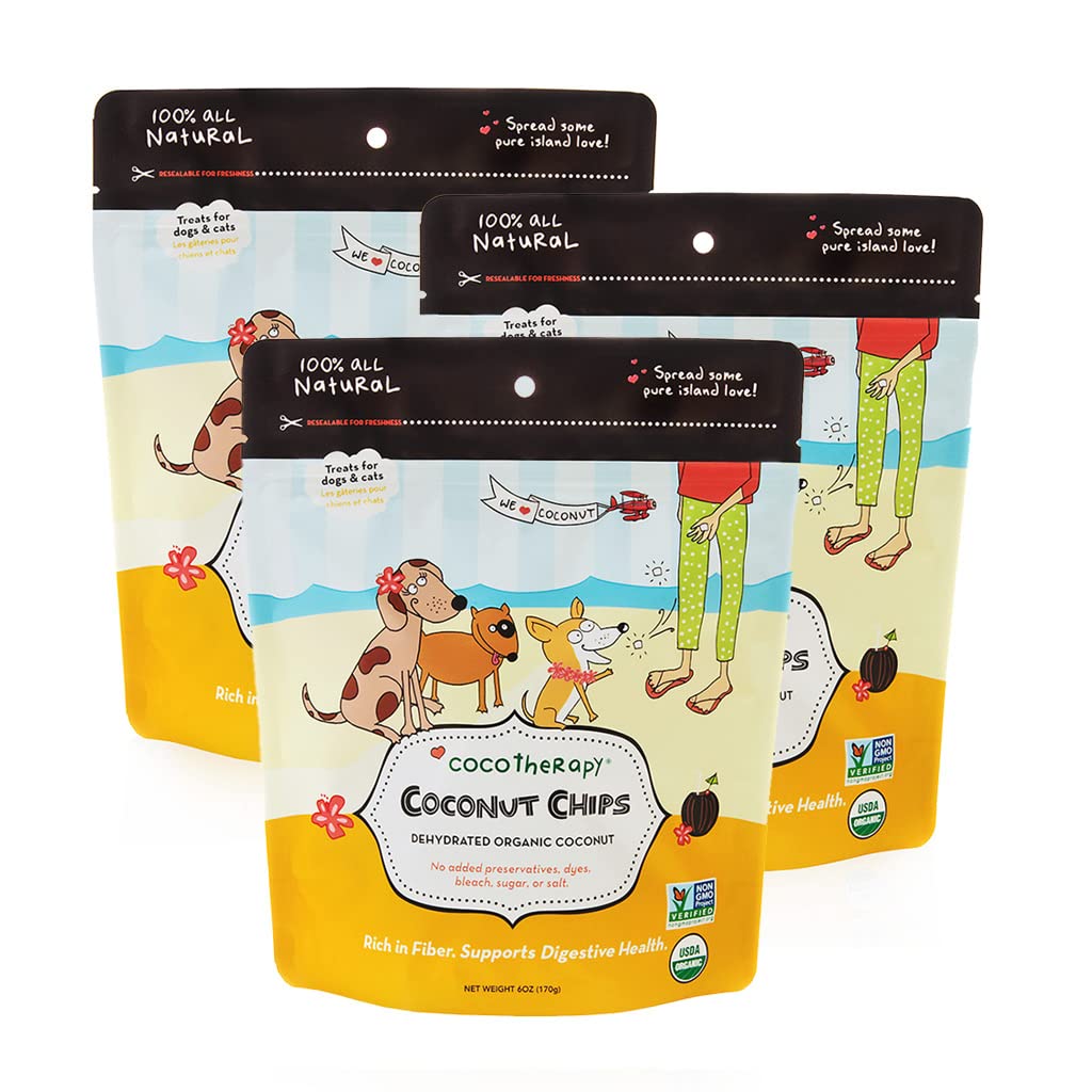BackupMyFilesNow CocoCrunch Coconut Chips trio pack in a 6 oz bag, showcasing golden toasted coconut slices ready to eat.