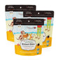 BackupMyFilesNow CocoCrunch Coconut Chips trio pack in a 6 oz bag, showcasing golden toasted coconut slices ready to eat.