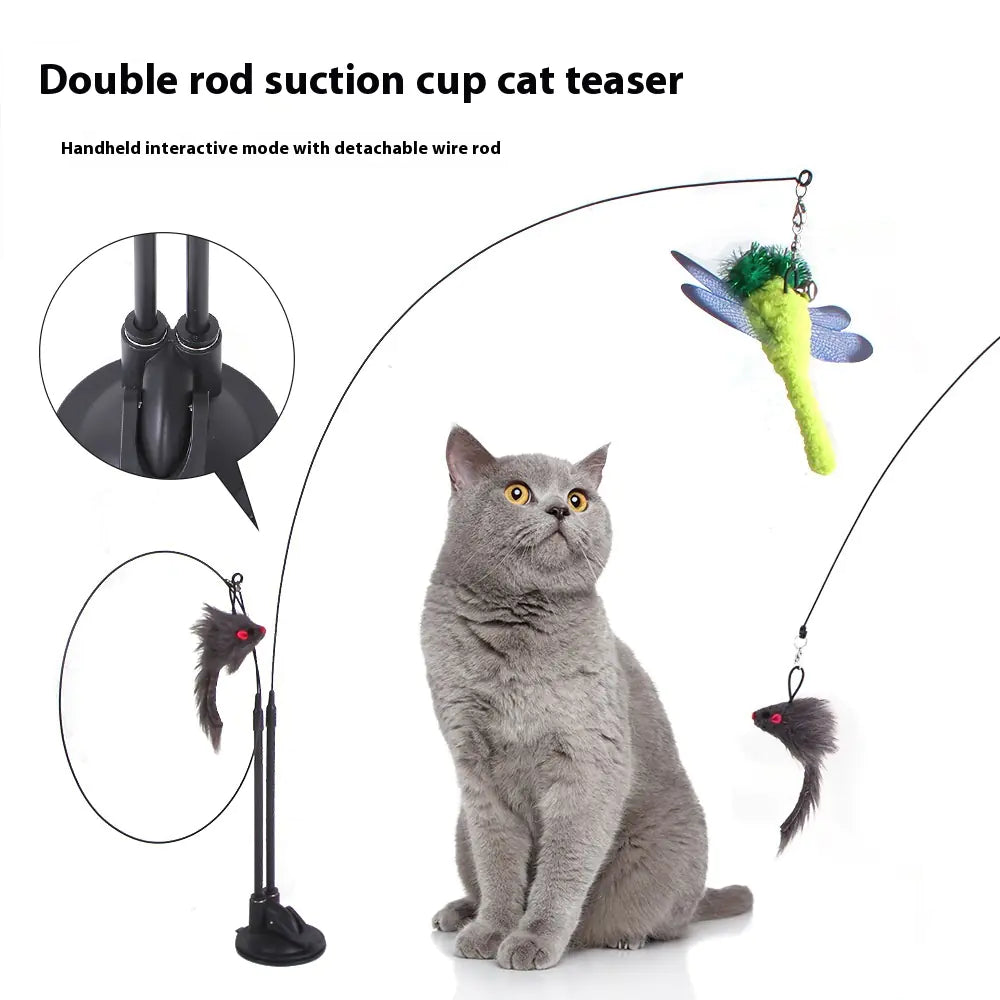 Cat Sucker Teaser Toy.