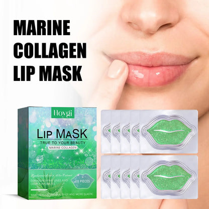 Hoygi 10pcs Aloe lip mask set by Blushimmer featuring exfoliating, moisturizing, and repairing plumping lip masks for smooth lips
