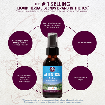 Illustration of Attention Ally, WishGarden Herbs' focus supplement for kids, showing colorful packaging with herbs and kids' playful imagery.