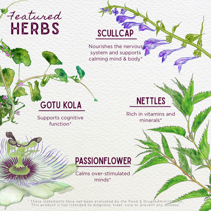 Kids attention and focus supplement featuring herbal ingredients from WishGarden Herbs, designed to support concentration and mental clarity.