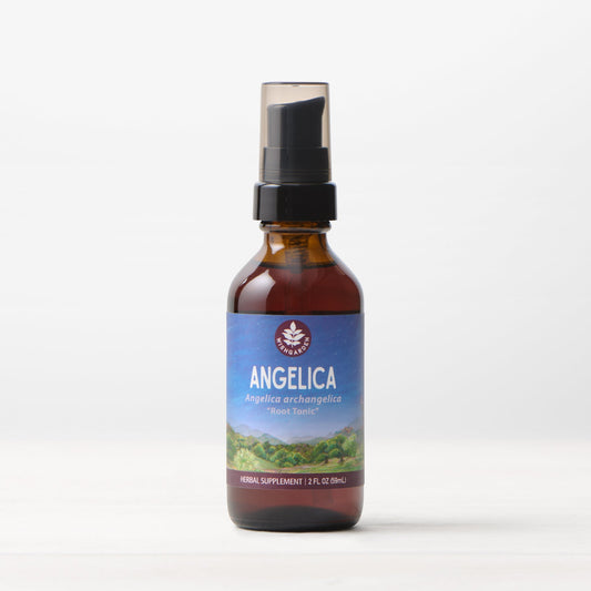 Bottle of WishGarden Herbs Angelica Root Tincture with label showing natural ingredient illustration and product name.