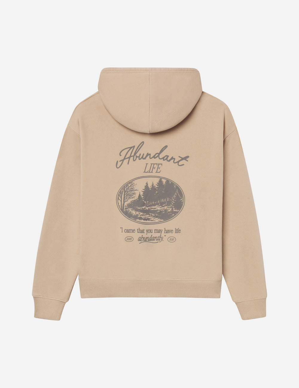Unisex hoodie from Elevated Faith with "Abundant Life" text, featuring a comfortable fit and casual style in soft fabric.