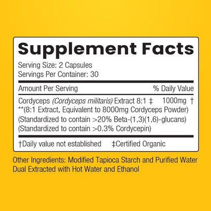 Capsules of ENCAPSULATE Cordyceps 8:1 Extract dietary supplement in clear plastic bottles with label.
