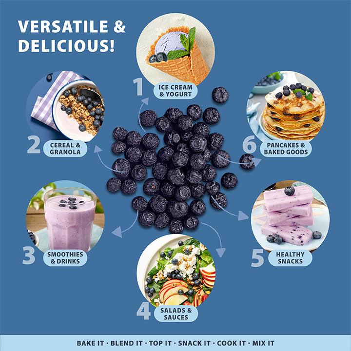 VFD.US freeze-dried Grade A blueberries, single-ingredient snack, close-up of vibrant dried blueberries in natural setting.