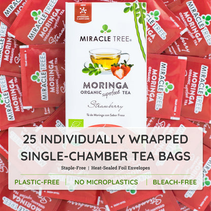 Organic Moringa Tea with strawberry flavor by Miracle Tree, caffeine-free herbal tea in a tea bag.