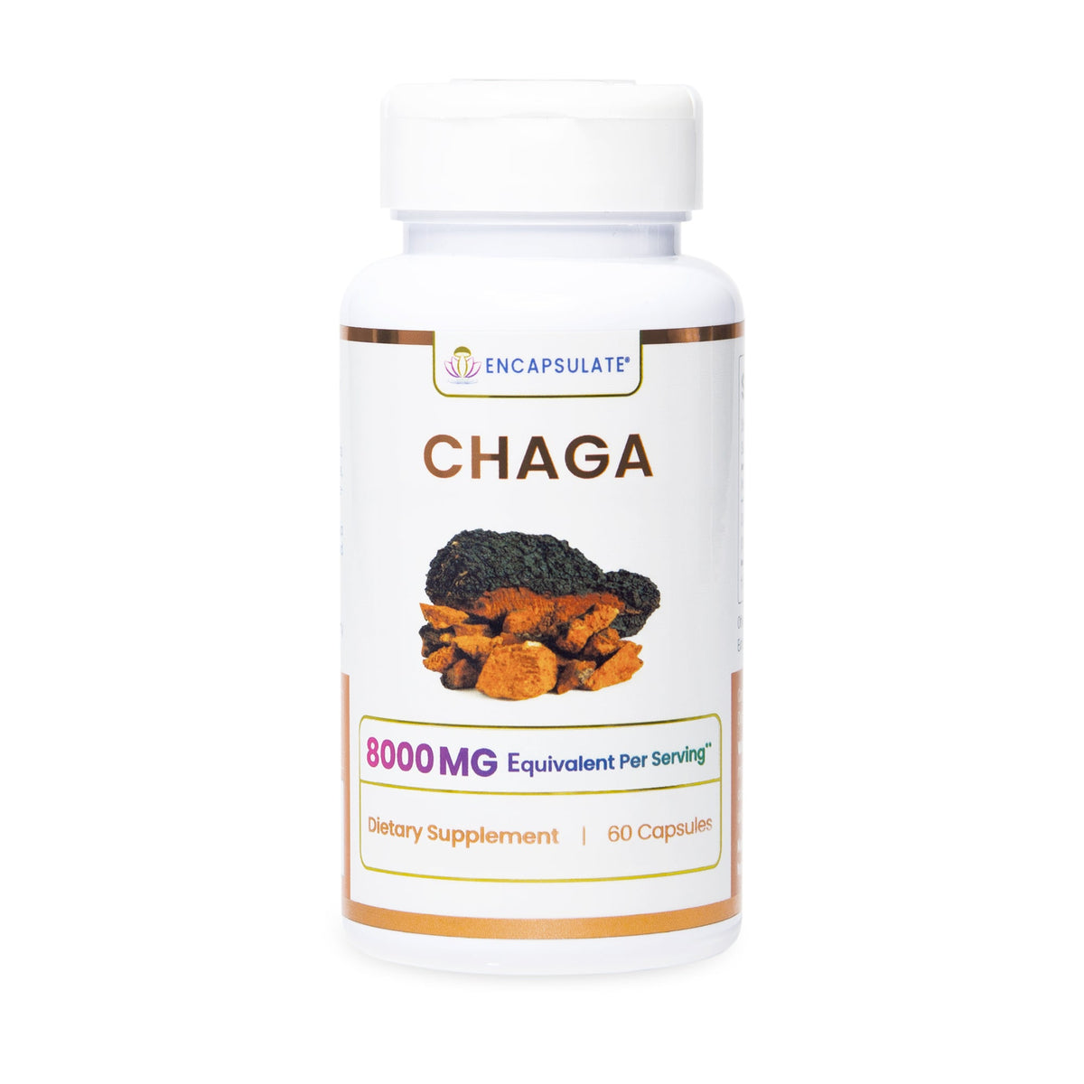 Encapsulate Chaga Mushroom supplement in capsule form, showcasing the product packaging and capsules on a neutral background.