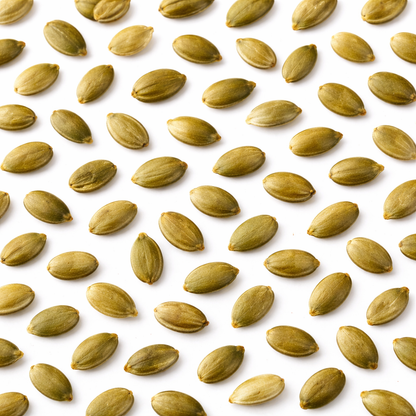 Bulk raw pumpkin seeds (pepitas) from Candy In Bulk, showing a close-up of green, shelled pumpkin seeds in a large snack bag.