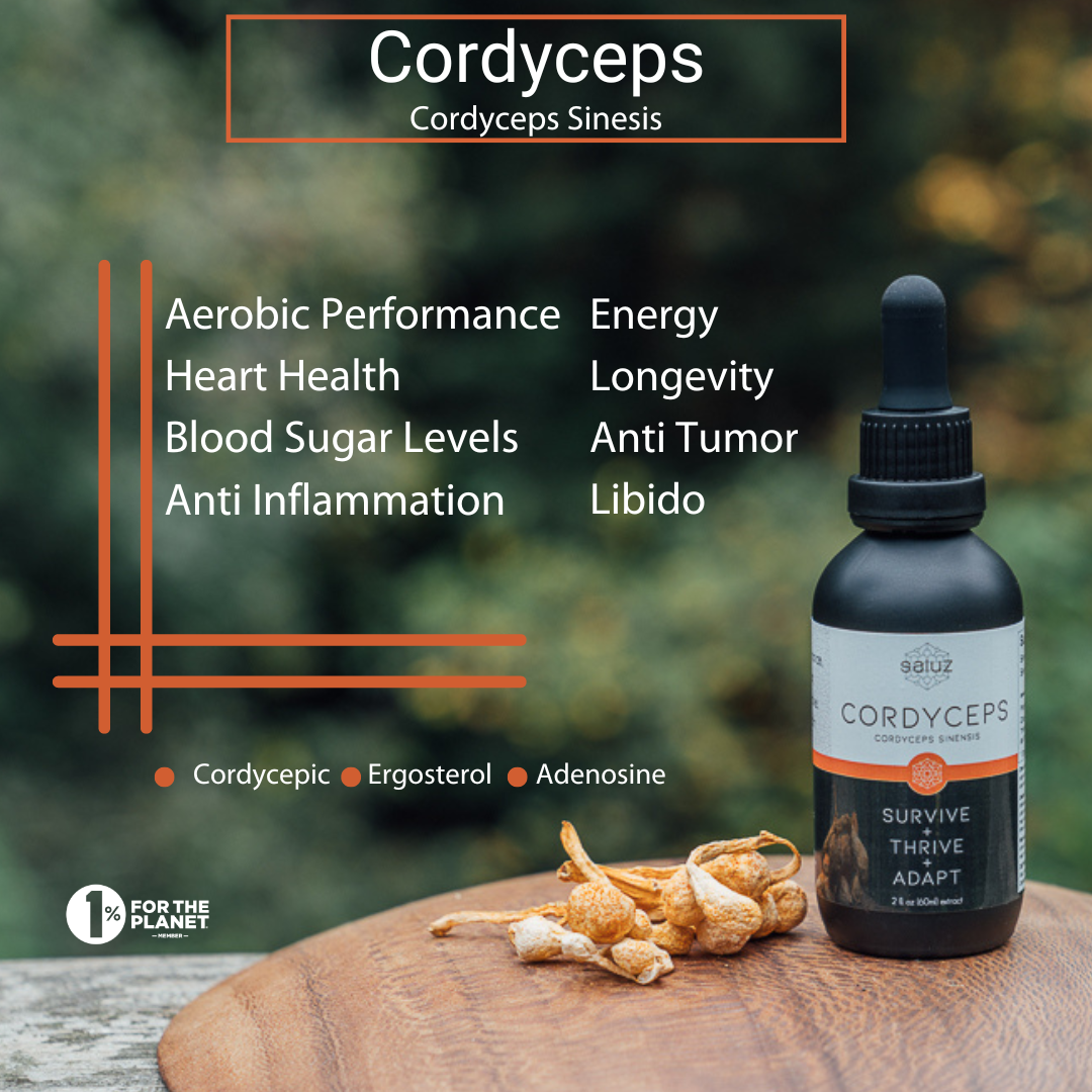 Saluz.io cordyceps supplement bottle showing label with natural ingredients for energy, performance, and longevity support.