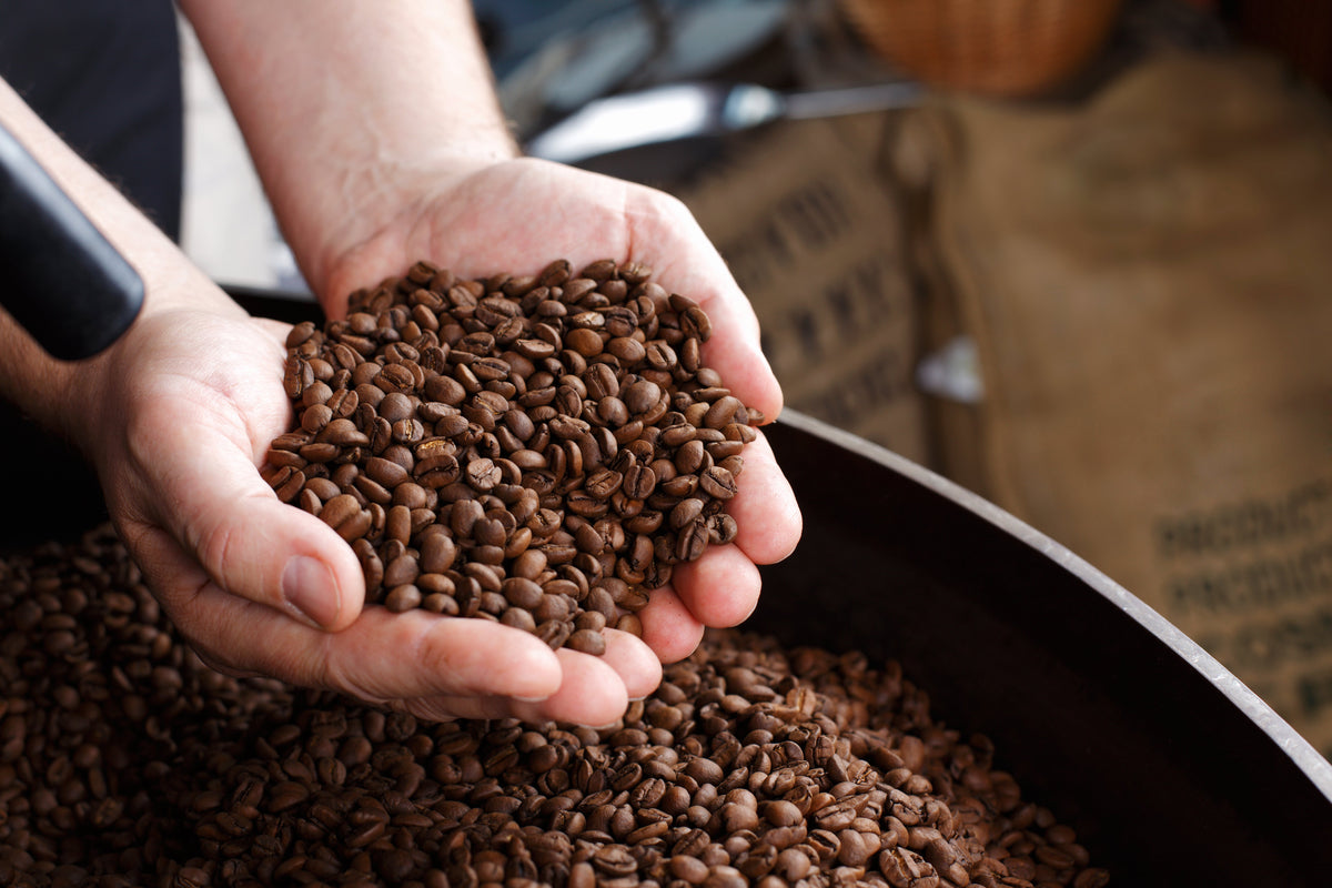 Roaster's Choice roasted coffee beans in 8oz or 12oz bags by Good Brothers Coffee LLC, displayed in a clear container.