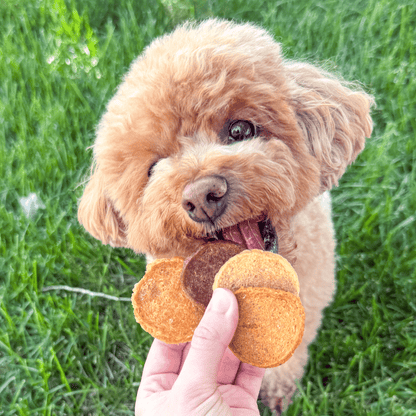 Farm To Pet Halloween dog treat chips in a mix, with a dog licking the chips, showcasing all-natural, healthy trick-or-treat snack for dogs.