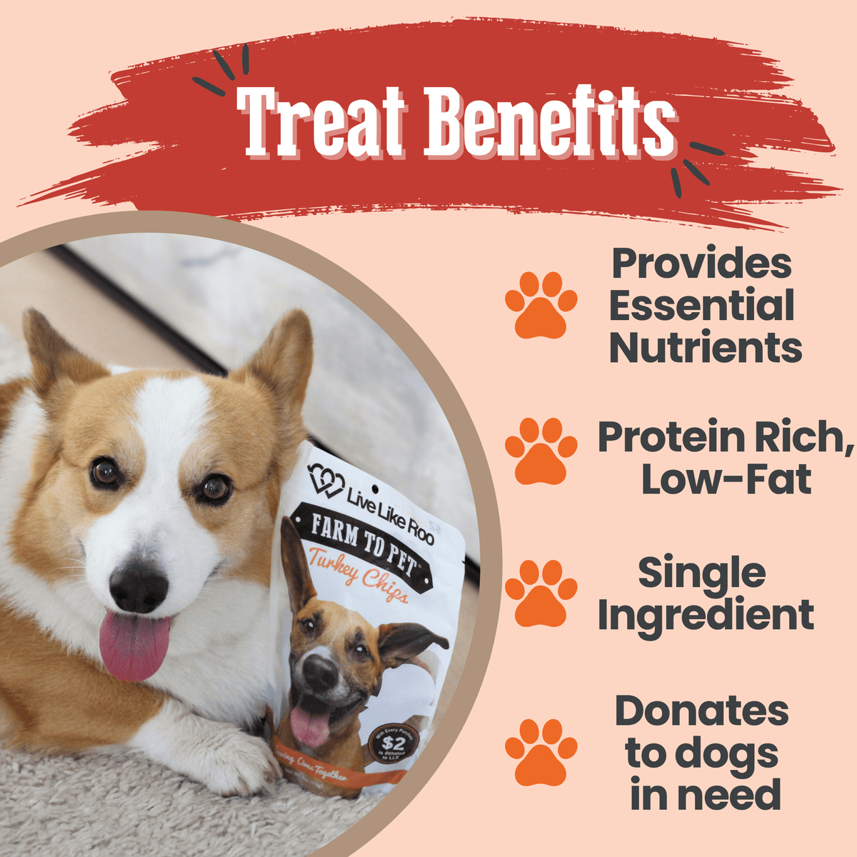 Farm To Pet Live Like Roo Turkey Chips for dogs, antibiotic-free dog treat chips, natural and healthy dog chews.