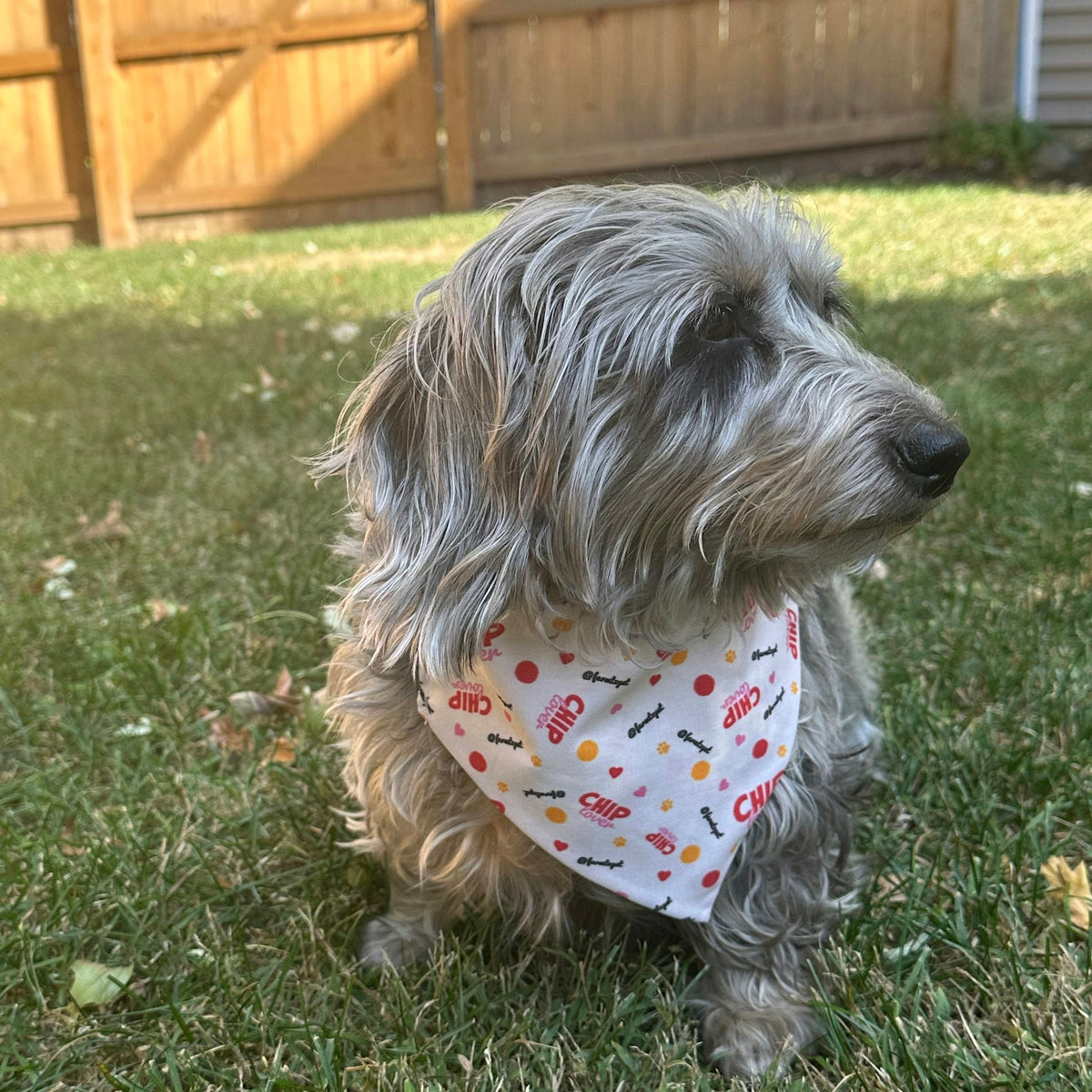 Adjustable Farm To Pet tie-on dog bandana with a chip lover print, perfect for dogs and cats, featuring a comfortable string-tie design.