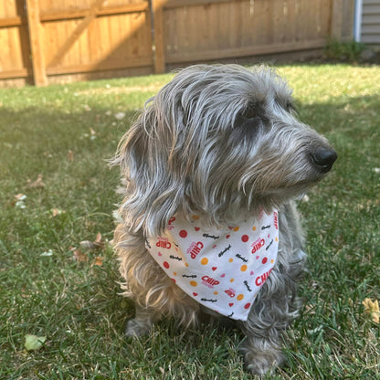 Adjustable Farm To Pet tie-on dog bandana with a chip lover print, perfect for dogs and cats, featuring a comfortable string-tie design.