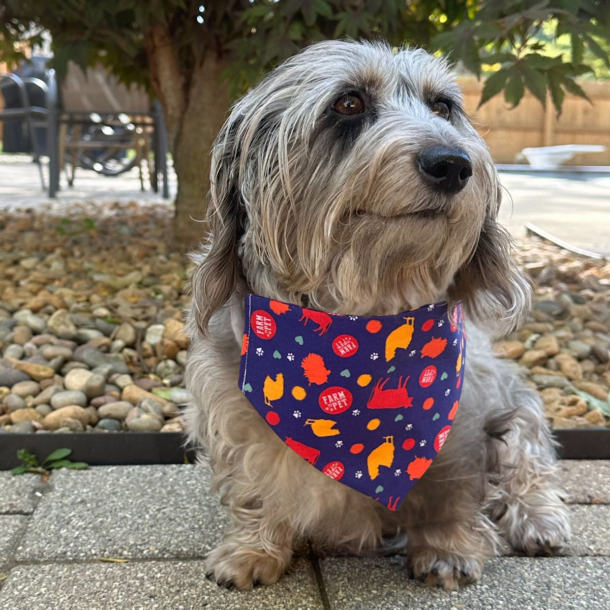 Farm To Pet adjustable tie-on dog bandana with string tie, perfect for cats and dogs, featuring a stylish fabric design.