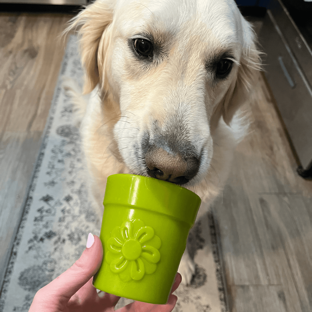 Green Farm To Pet dog treat dispenser shaped like a flower pot with a dog licking the treat inside.
