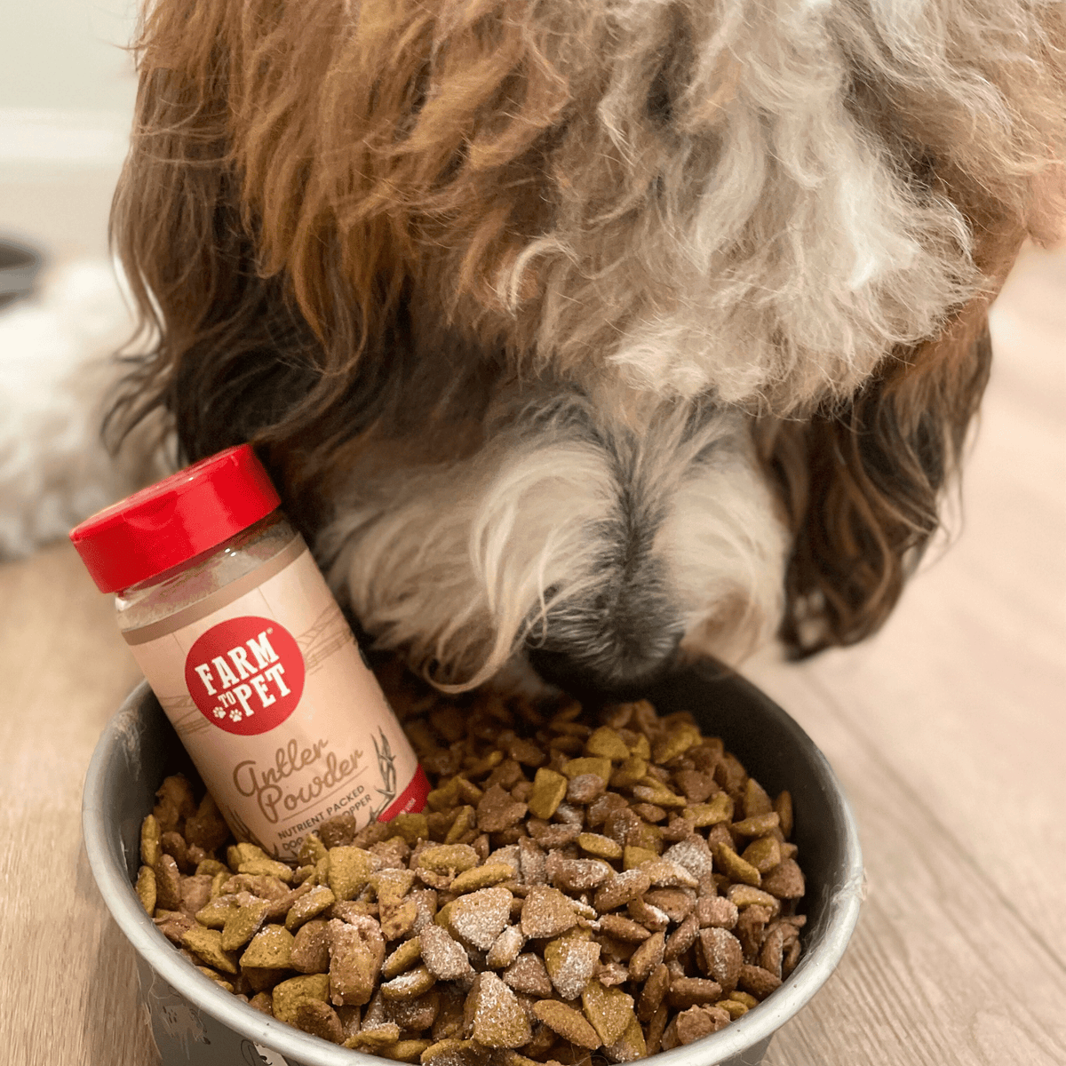 Farm To Pet elk antler powder dog food topper, a healthy nutritional supplement for dogs and cats with natural antler ingredients.