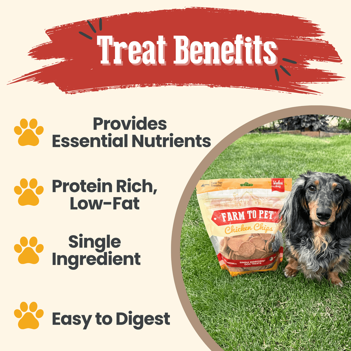 All-natural chicken chips for dogs by Farm To Pet, single-ingredient dog treats in a 12oz bag, crispy and healthy snack option.
