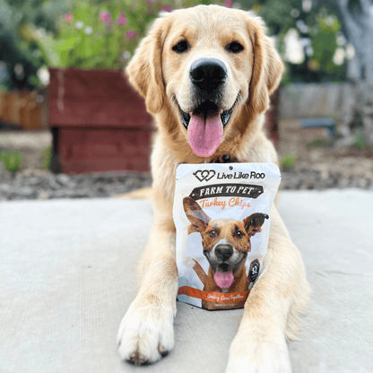 Farm To Pet Live Like Roo Turkey Chips for Dogs, 4oz bag, featuring a smiling dog enjoying natural turkey dog treats.