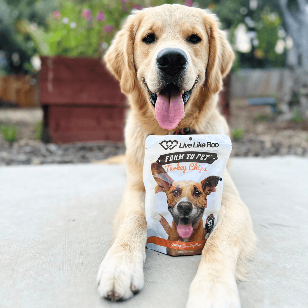 Farm To Pet Live Like Roo Turkey Chips for dogs, 4oz, featuring a happy dog enjoying natural, wholesome turkey dog treats.