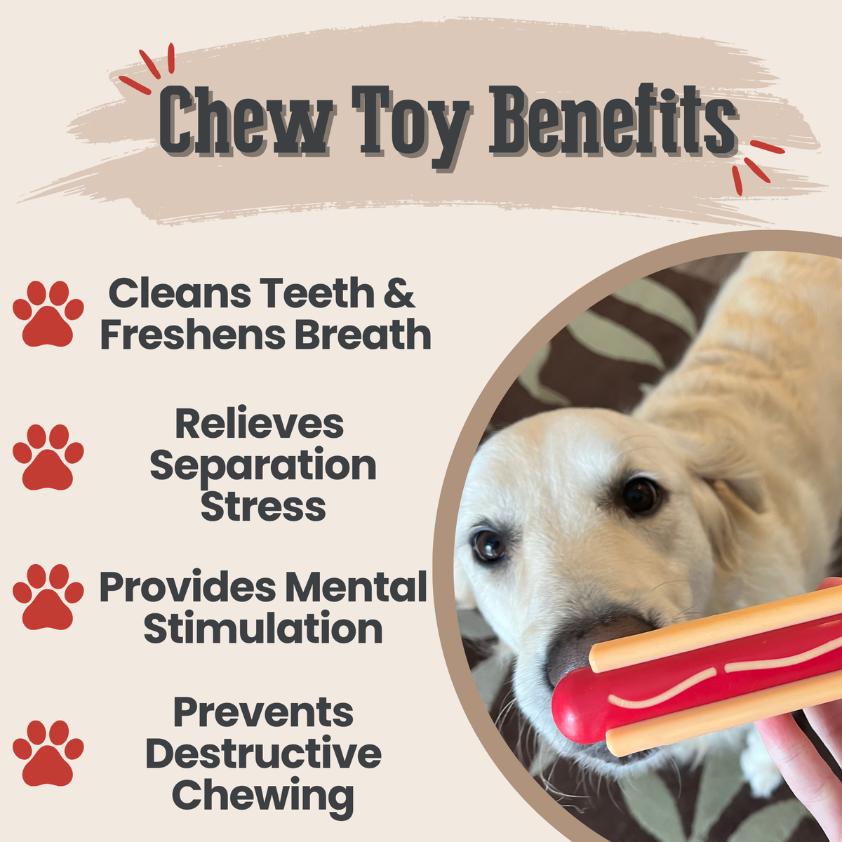 Farm To Pet Hot Dog Chew Toy benefits infographic for dogs