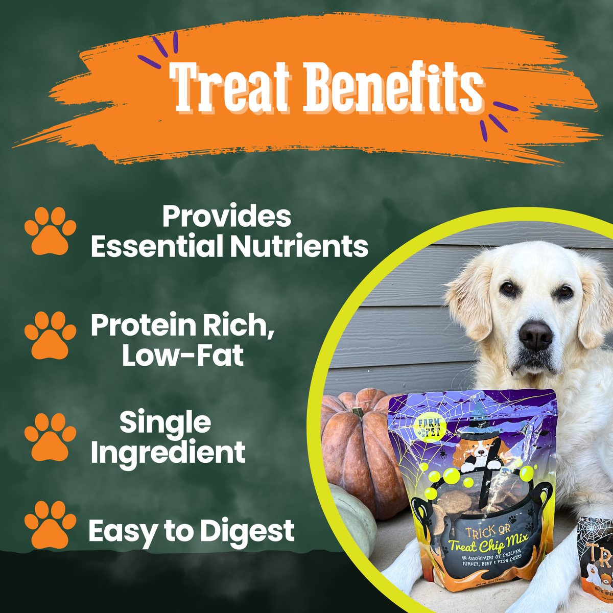 Farm To Pet Trick or Treat Chip Mix Halloween dog treats in a snack pack, featuring festive, natural ingredient dog treats.
