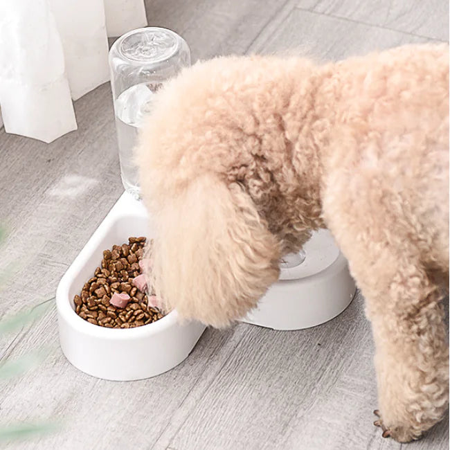 Heart-Shaped Automatic Pet Water Dispenser and Feeder