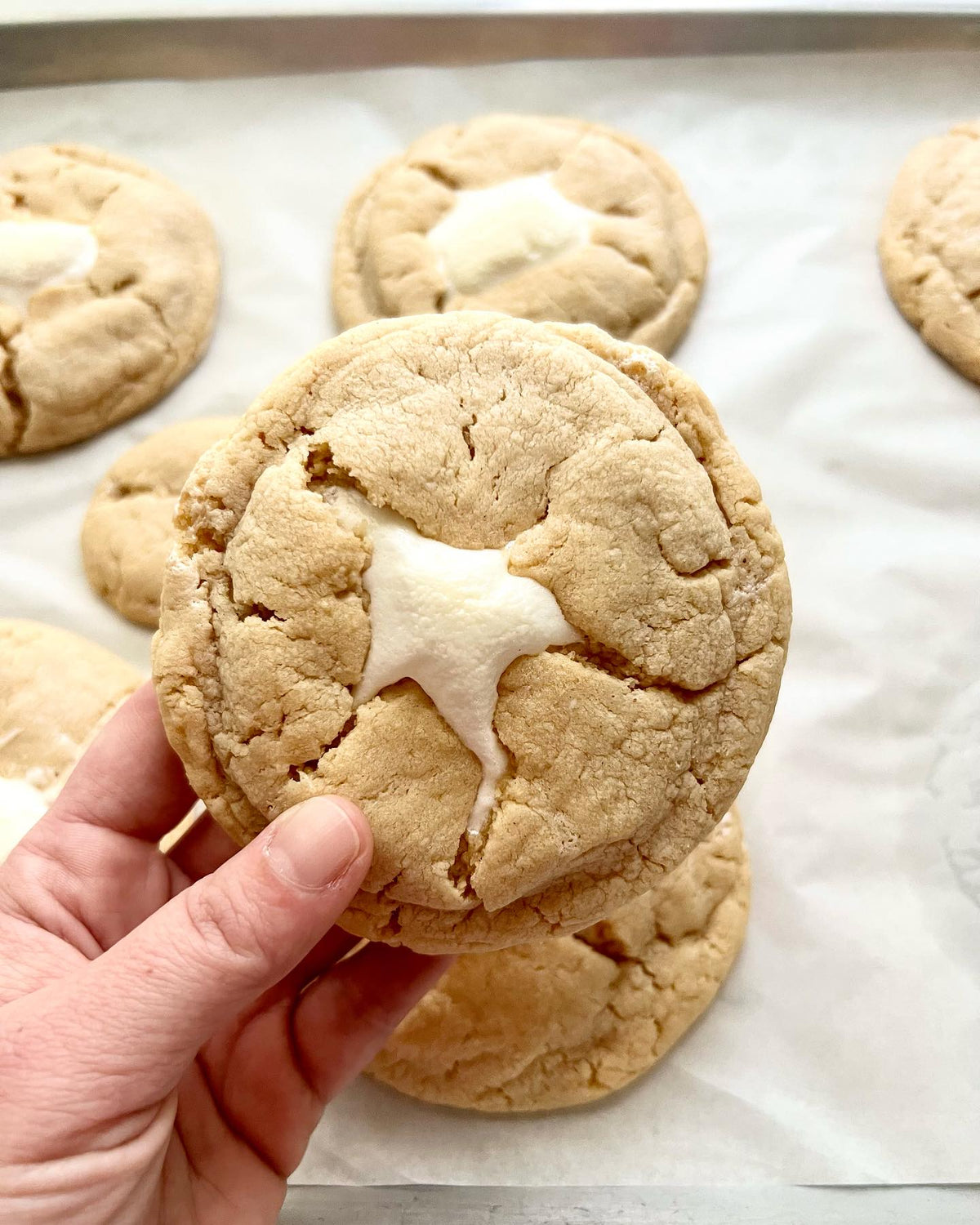 Let's Get Baked Artisan Desserts FlufferNutter cookie with peanut butter and marshmallow filling on a plate.