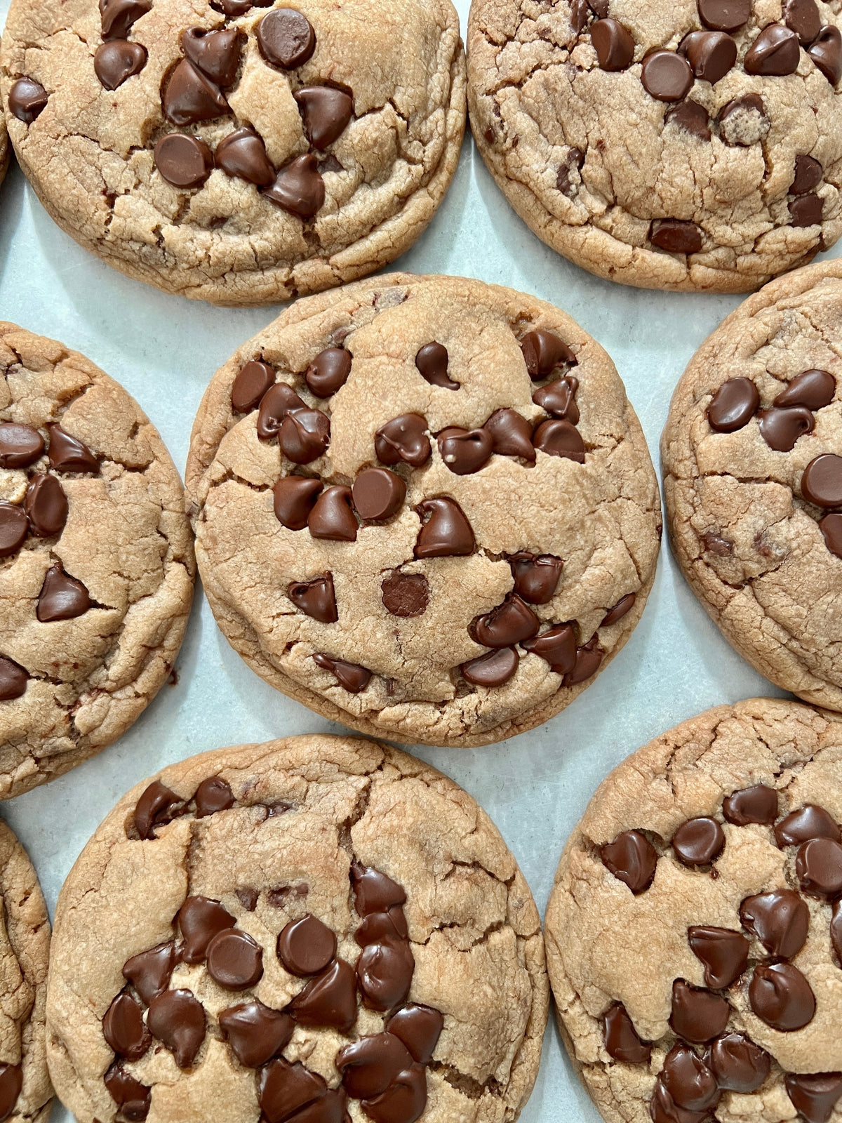 Let's Get Baked Artisan Desserts OG Chocolate Chip cookies, freshly baked with gooey chocolate chips on a plate.