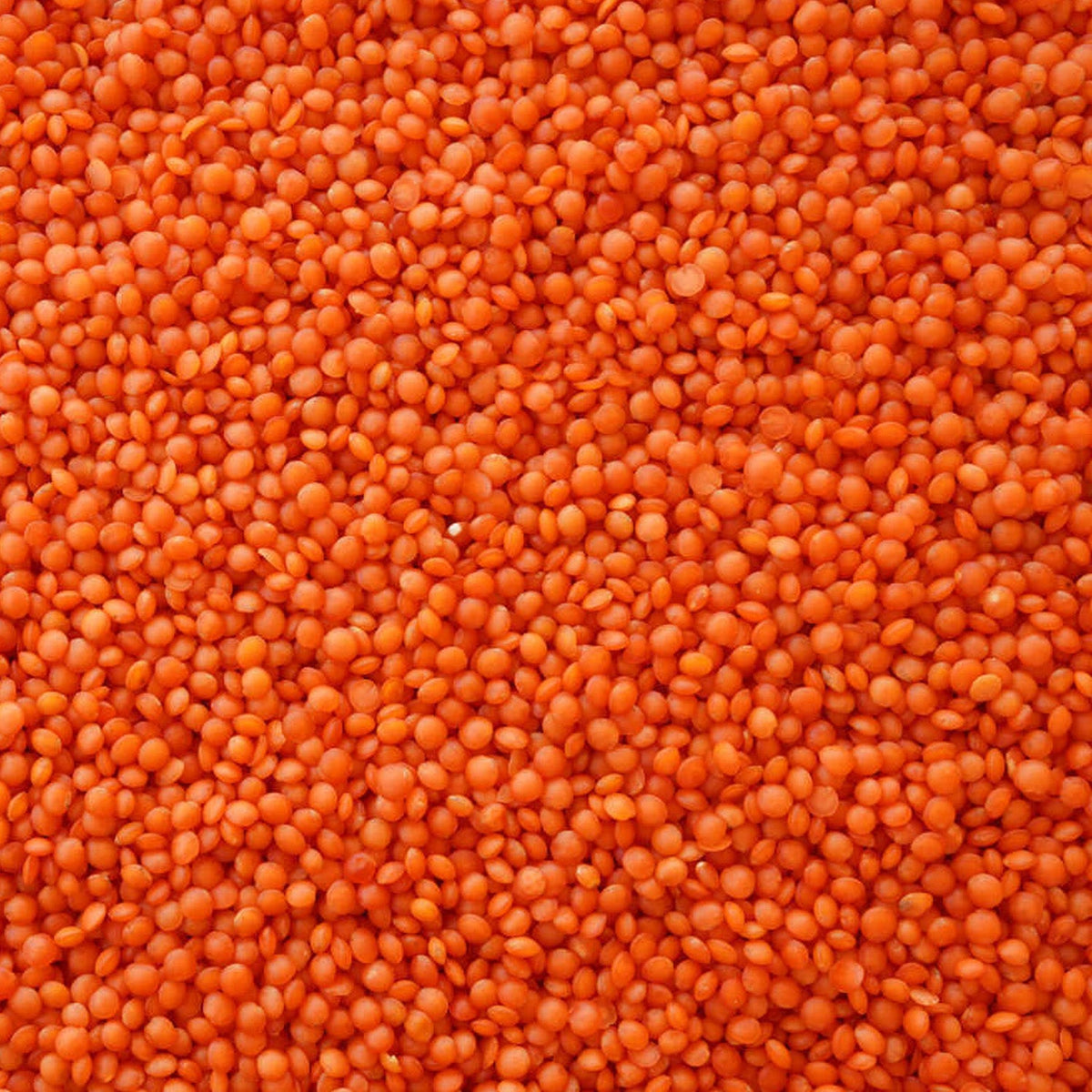 Red lentils in a 1kg bag from S101, showcasing bright orange-red lentil grains in a clear view.