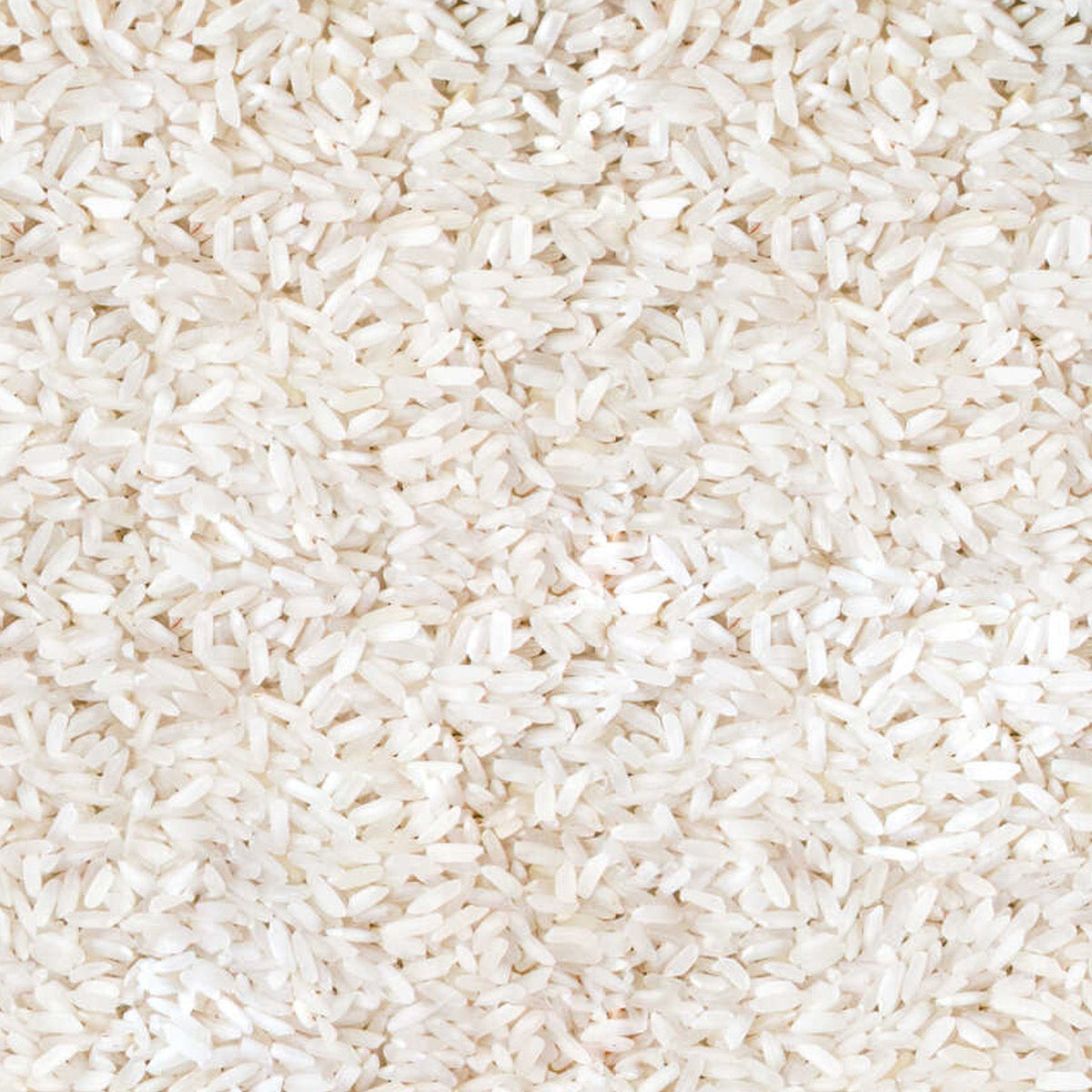 S101 Hasata Rice Baldo 2kg bag showing white, long-grain rice in a clear plastic package.