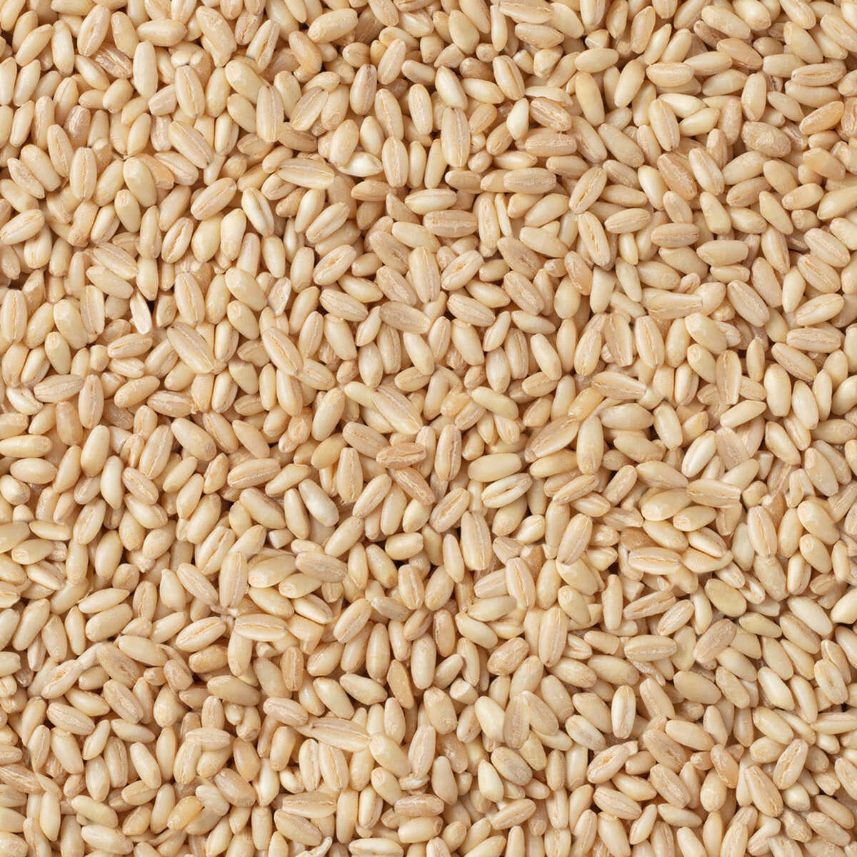 S101 Hasata peeled wheat in 1kg package, showing fresh, whole wheat grains with a natural light brown color and textured surface.