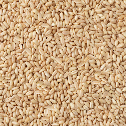 S101 Hasata peeled wheat in 1kg package, showing fresh, whole wheat grains with a natural light brown color and textured surface.