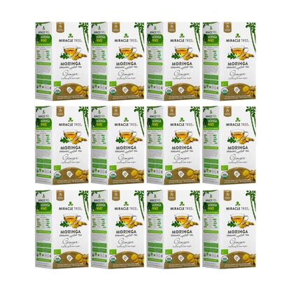 Organic Moringa Tea with ginger from Miracle Tree, a caffeine-free herbal tea featuring fresh ginger slices and vibrant green moringa leaves.