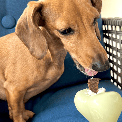 Farm To Pet dog treat dispenser showing a plastic treat toy with a removable lid and adjustable opening for dispensing treats.