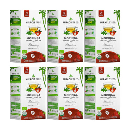 Organic Moringa Tea by Miracle Tree featuring strawberry flavor, caffeine-free herbal tea with fresh tea leaves and strawberry slices.