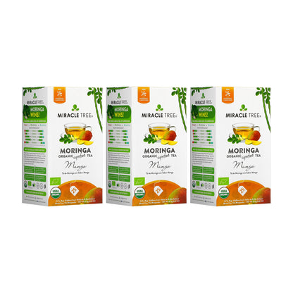 Organic Moringa Tea by Miracle Tree in mango-flavored herbal tea with vibrant dried tea leaves and mango pieces.